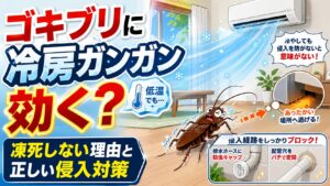 アイキャッチ画像-ゴキブリに冷房ガンガンは効く？凍死しない理由と正しい侵入対策