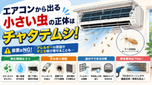 エアコンから虫が！正体はチャタテムシ？原因と自分でできる駆除法